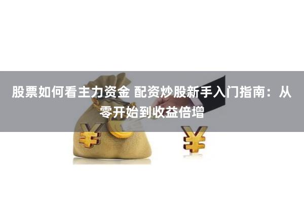 股票如何看主力资金 配资炒股新手入门指南：从零开始到收益倍增