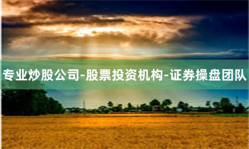 专业炒股公司-股票投资机构-证券操盘团队